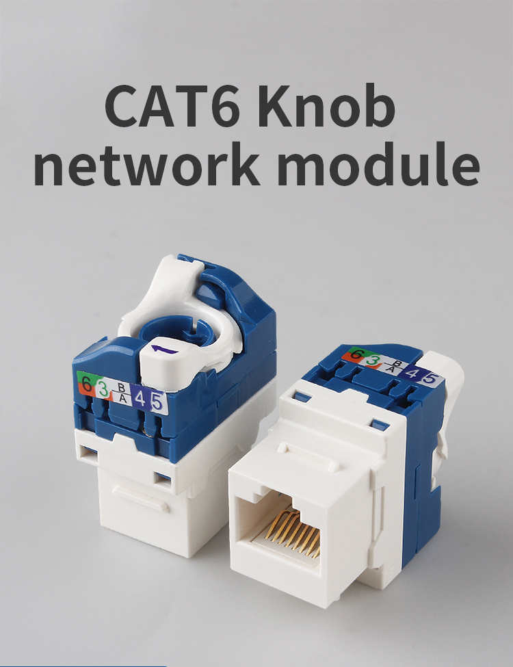 Hight Quality Cat6A UTP Keystone Coupler  (3)