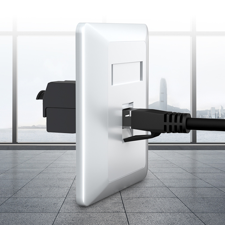 Rj45 Faceplate  (4)