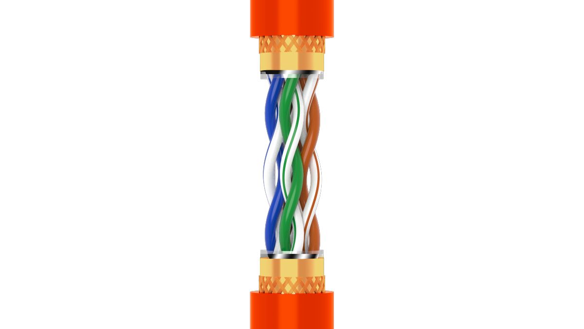 avsv (1)